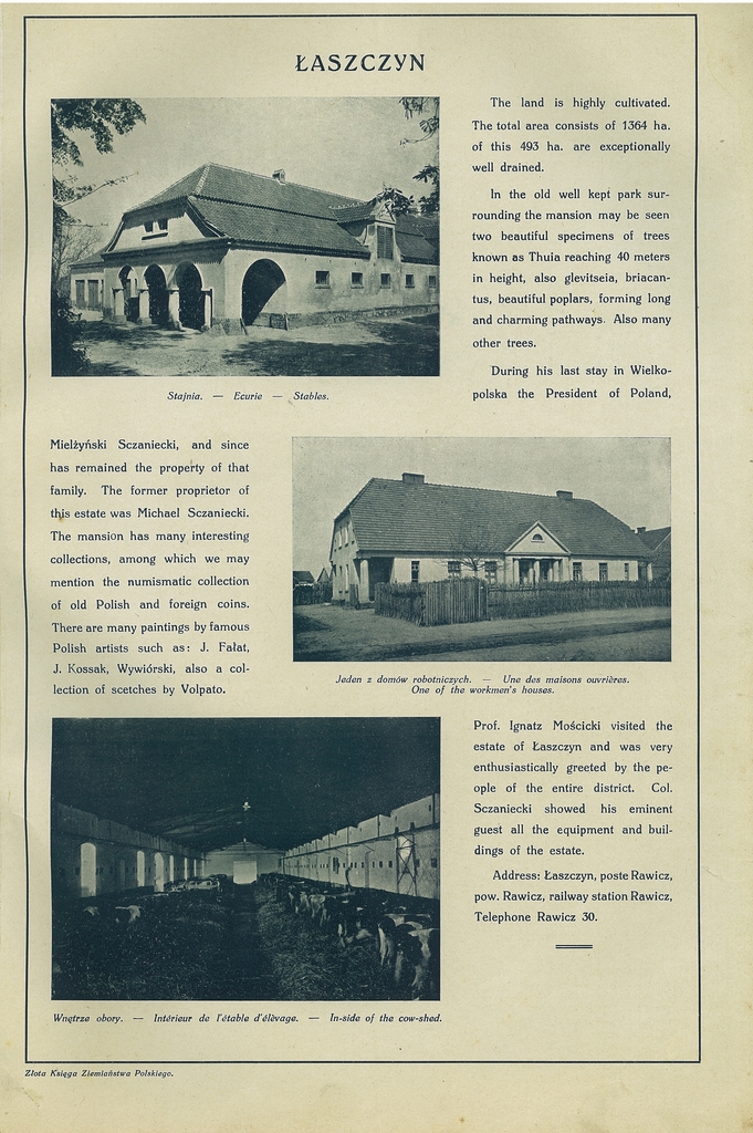 115 laszczyn.jpg